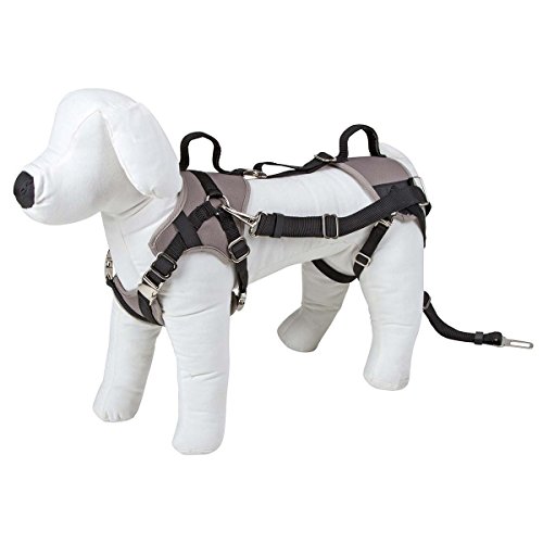 Kerbl 81337 Autosicherheitsgeschirr Travel Protect, S, grau von Kerbl