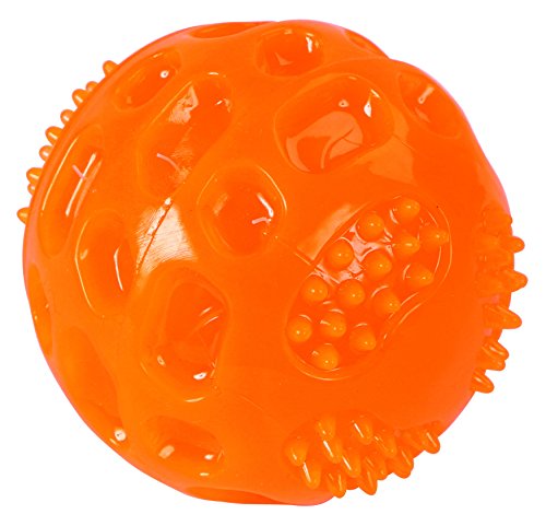 Kerbl 81484 Ball ToyFastic, Squeaky, Diameter 7.5 cm, orange von Kerbl