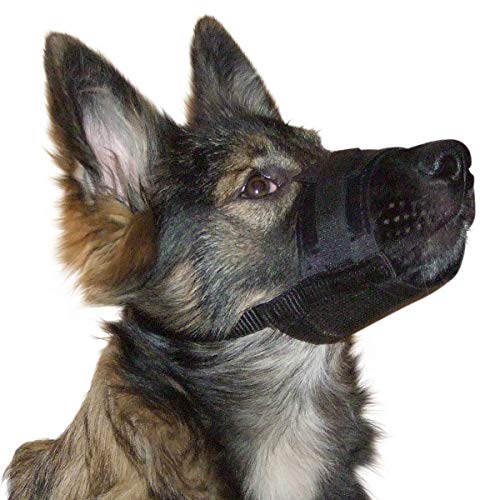 Kerbl Pet 82144 Nylon Maulkorb, S, schwarz, 14 - 20 cm / 6.5 cm Kerbl Pet 82144 Nylon Maulkorb, S, schwarz, 14 - 20 cm / 6.5 cm von Kerbl Pet