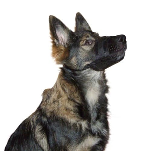 Kerbl Pet 82145 Nylon Maulkorb, M, schwarz, 17 - 22 cm / 7.5 cm Kerbl Pet 82145 Nylon Maulkorb, M, schwarz, 17 - 22 cm / 7.5 cm von Kerbl Pet