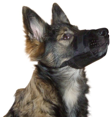 Kerbl Pet 82147 Nylon Maulkorb, XL, schwarz, 20 - 26 cm / 9.5 cm Kerbl Pet 82147 Nylon Maulkorb, XL, schwarz, 20 - 26 cm / 9.5 cm von Kerbl Pet
