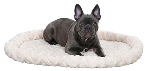 Kerbl Kuschelbett (Farbe beige, L x B x H 54 x 45 x 6 cm, mit Nylonboden, wendbar, waschbar, Katzenkissen) 82581 Kerbl Kuschelbett (Farbe beige, L x B x H 54 x 45 x 6 cm, mit Nylonboden, wendbar, waschbar, Katzenkissen) 82581 von Kerbl Pet