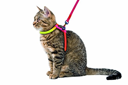 Kerbl 83191 Katzengeschirr Rainbow 10 mm / 120 cm von Kerbl