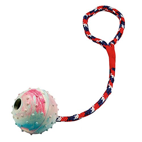 Kerbl 83496 Ball am Seil, Mehrfarbig, 1 Stück (1er Pack) von Kerbl Pet