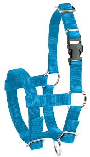Kerbl Alpaka-Halfter, verstellbar – Blau (Abmessung 17 x 18 x 4,5 cm, Gewicht 0,1 kg, Material 20 mm Polypropylen) 27183 Kerbl Alpaka-Halfter, verstellbar – Blau (Abmessung 17 x 18 x 4,5 cm, Gewicht 0,1 kg, Material 20 mm Polypropylen) 27183 von Kerbl