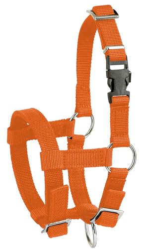 Kerbl Alpaka-Halfter, verstellbar – Orange (Abmessung 17 x 18 x 4,5 cm, Gewicht 0,1 kg, Material 20 mm Polypropylen) 27190 Kerbl Alpaka-Halfter, verstellbar – Orange (Abmessung 17 x 18 x 4,5 cm, Gewicht 0,1 kg, Material 20 mm Polypropylen) 27190 von Kerbl
