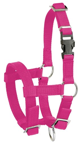 Kerbl Alpaka-Halfter, verstellbar – Pink (Abmessung 17 x 18 x 4,5 cm, Gewicht 0,1 kg, Material 20 mm Polypropylen) 27184 von Kerbl