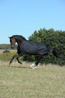 IRISH TURNOUT Pferdedecke Extra 300g von Kerbl