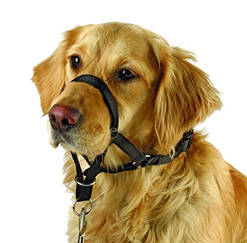 Kerbl Pet Trainings- und Erziehungsgeschirr Maxi Coach, schwarz, < 24 cm von Kerbl Pet
