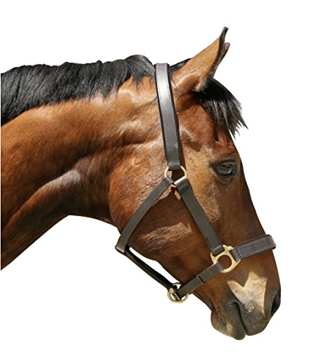 Kerbl Halfter Eco Pony, Leder Braun, 32265 von Kerbl