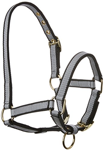 Kerbl Halfter Exclusiv-Fohlenhalfter mit Dornschnalle, Grau, 32263 Kerbl Halfter Exclusiv-Fohlenhalfter mit Dornschnalle, Grau, 32263 von Kerbl