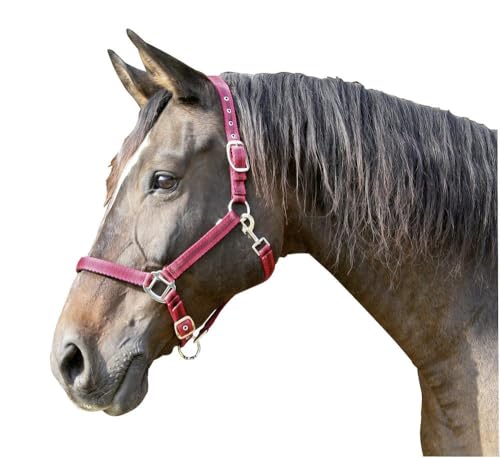 Kerbl Halfter Mustang 2-Fach verstellbar, Rot/Schwarz, 1, 321961 von Covalliero