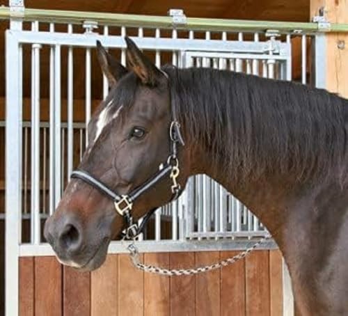 Kerbl Halfter Mustang 2-Fach verstellbar, Schwarz/Silber, 1, 321960 Kerbl Halfter Mustang 2-Fach verstellbar, Schwarz/Silber, 1, 321960 von Covalliero