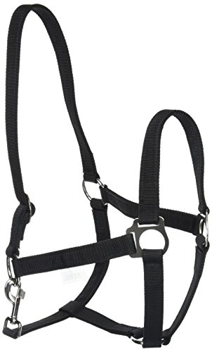 Kerbl Halfter Nylonhalfter Classic, Schwarz, 5, 32395 Kerbl Halfter Nylonhalfter Classic, Schwarz, 5, 32395 von Kerbl