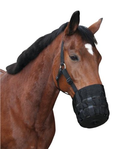 Kerbl Maulkorb Nylon, schwarz Vollblut Kerbl Maulkorb Nylon, schwarz Vollblut von Kerbl