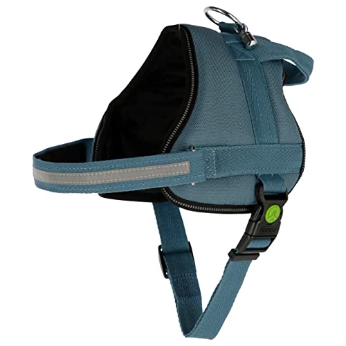 Kerbl Pet Maxi-Pet 80212 Geschirr Maestro 2.0, mit Adresstube Kerbl Pet Maxi-Pet 80212 Geschirr Maestro 2.0, mit Adresstube von Kerbl Pet