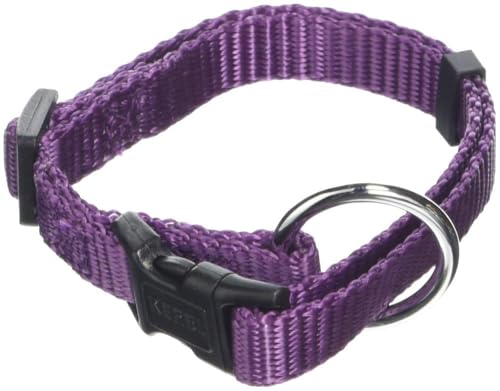 Kerbl Pet Miami Halsband, lila, 10 mm, verstellbar 20-35 cm von Kerbl Pet