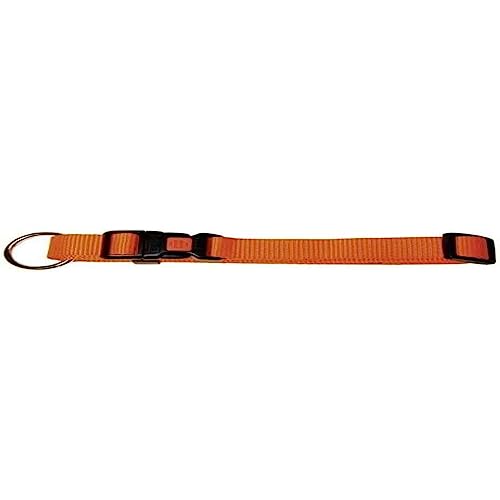 Kerbl Miami Halsband, orange 10 mm, verstellbar 20-35 cm von Kerbl Pet