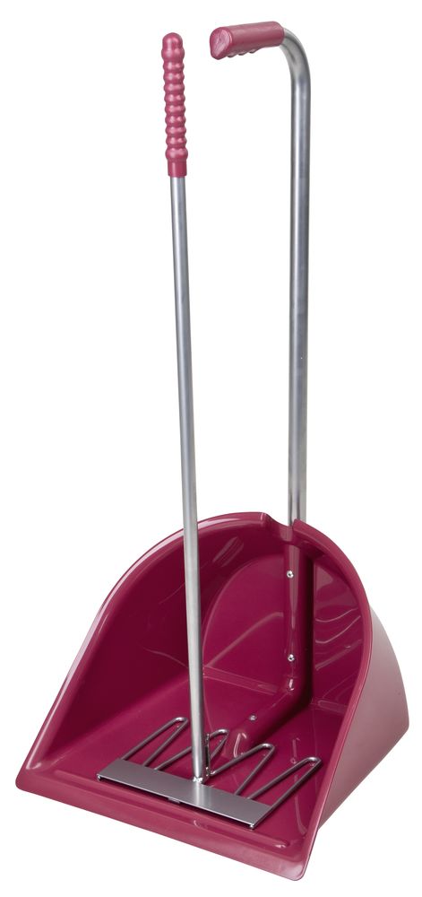 Kerbl Mistboy  Rose von Kerbl