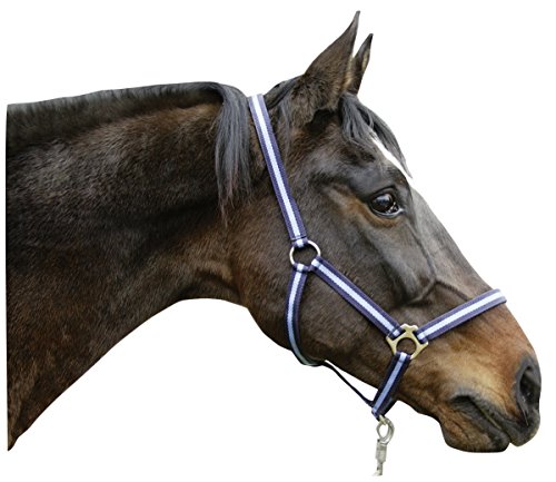 Kerbl Nylonhalfter Hippo, Halfter Nylon großes Warmblut, Marine/Hellblau von Kerbl