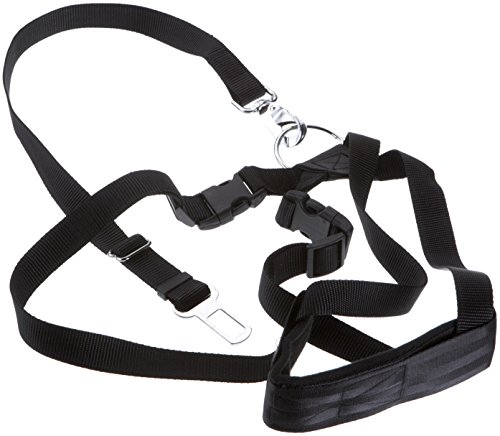 Kerbl Pet Autosicherheitsgurt Größe L, schwarz, größenverstellbar, 70 - 90 cm Kerbl Pet Autosicherheitsgurt Größe L, schwarz, größenverstellbar, 70 - 90 cm von Kerbl