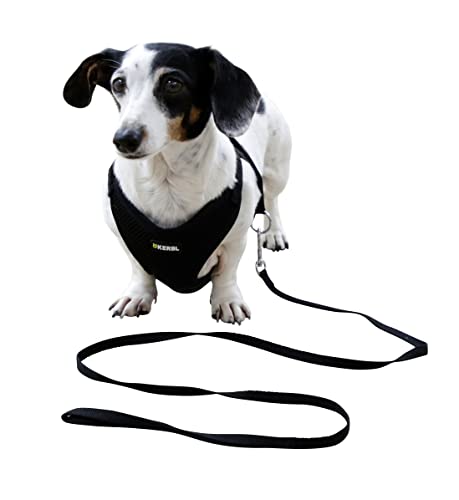 Kerbl Pet Welpengeschirr mit Leine, schwarz, 30 - 50 cm/10 mm von Kerbl Pet