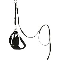 Kerbl Welpengeschirr mit Leine schwarz 30 - 50 cm/10 mm von Kerbl