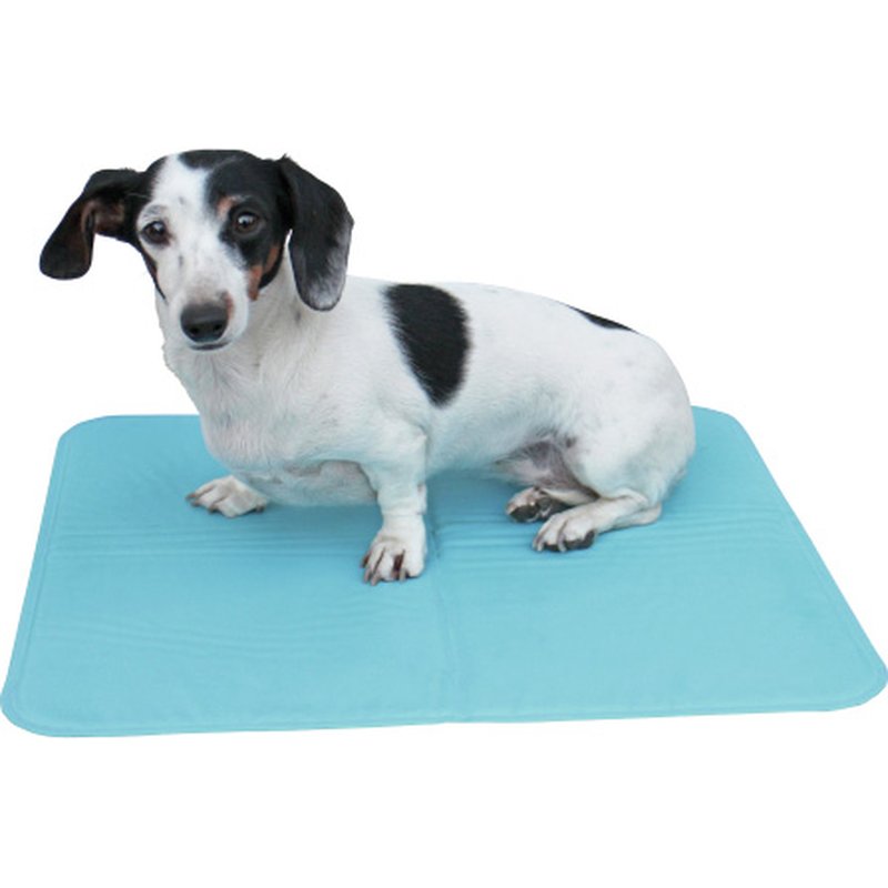 Kühlmatte Cool-Relax-Pro 50x40 cm Kühlmatte Cool-Relax-Pro 50x40 cm von Kerbl