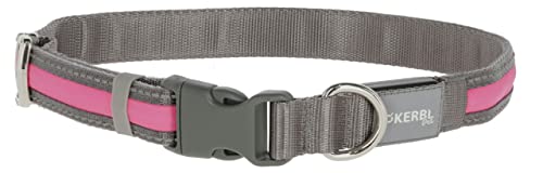 Kerbl Pet Light und Reflex Leuchthalsband pink, M/L Kerbl Pet Light und Reflex Leuchthalsband pink, M/L von Kerbl Pet