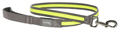 Kerbl Pet Light und Reflex Leuchtleine 25mm x 120cm, gelb Kerbl Pet Light und Reflex Leuchtleine 25mm x 120cm, gelb von Kerbl Pet