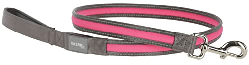 Kerbl Pet Light und Reflex Leuchtleine 25mm x 120cm, pink von Kerbl Pet