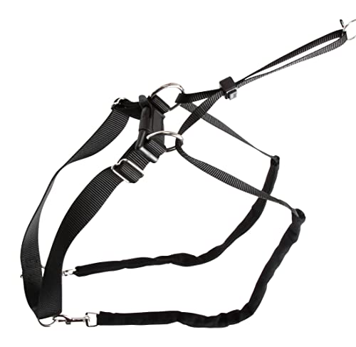 Kerbl Hundegeschirr Maxi Leader (für Halsumfang 25-30 cm, Farbe schwarz, Trainingsgeschirr verstellbar, für Hunde) von Kerbl