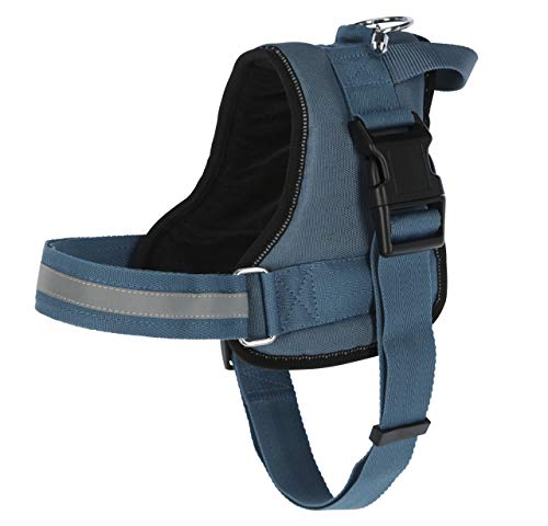 Kerbl Pet Maxi-Pet 80214 Geschirr Maestro 2.0, Petrol 38mm x 83-113cm mit Adresstube Kerbl Pet Maxi-Pet 80214 Geschirr Maestro 2.0, Petrol 38mm x 83-113cm mit Adresstube von Kerbl Pet