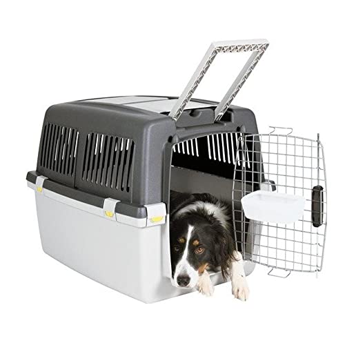 TRIXIE Transportbox Gulliver – M: 58 × 60 × 79 cm, IATA-konforme Hundebox für Reisen mit Auto, Zug & Flugzeug, stabile & leichte Kunststoffbox mit Metalltür & Belüftung – 39872 von Stefanplast
