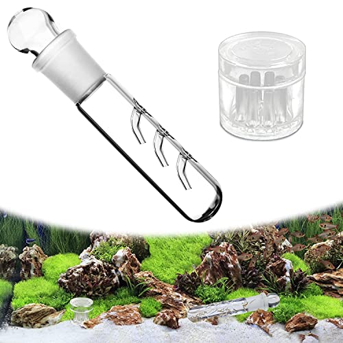 2 Stück Planarienfalle, 3 Loch Klarglas Glas Planaria Trap 8 Löcher Acryl Falle für Fisch Tank Aquarium Wurm Catcher Trap für Fangen von Planarien, Schnecken, Blutegeln im Aquarium von Kettion