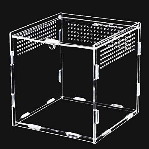 Keweni Feeding Box, 360 ° Transparent Acryl Terrarium Behälter für Spide, Skorpion, Käfer, Gottesanbeterin, Reptilien Lebensraum von Keweni