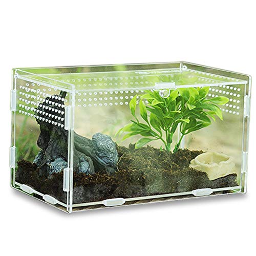 Keweni Insect Feeding Box, Acryl-Terrarium-Behälter für Spinnenechsen-Frosch-Skorpion, Tragbarer Kriechender Haustier-Reptilien-Lebensraum, Anti-Flucht-Design (klar1) von Keweni