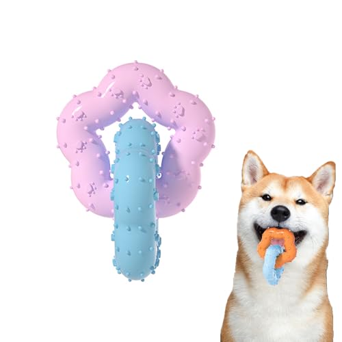 Doppelring Hunde Kauspielzeug Gummi, Mit Konvexes Design, Hundespielzeug Ring, Naturgummi Kauspielzeug, Interaktives Spielzeug Für Große Kleine Hunde, Zähne Reinigen Und Zahnfleisch Massieren Doppelring Hunde Kauspielzeug Gummi, Mit Konvexes Design, Hundespielzeug Ring, Naturgummi Kauspielzeug, Interaktives Spielzeug Für Große Kleine Hunde, Zähne Reinigen Und Zahnfleisch Massieren von Kewmayer