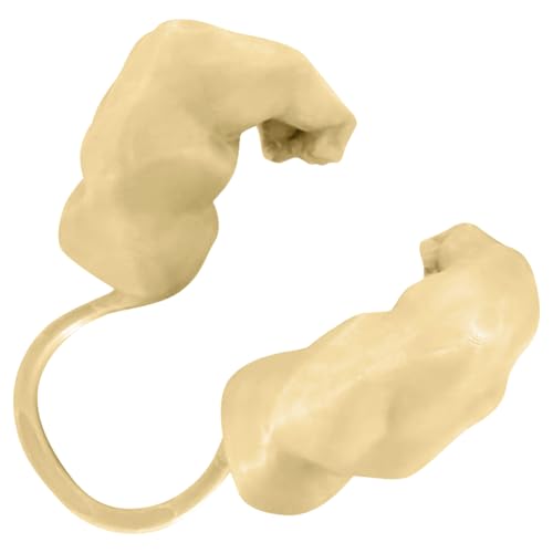 Geschirr für Katzen mit muskulösen Armen, 3D-Druck, realistische Dekoration, zum Aufhängen, für Partys und Halloween Geschirr für Katzen mit muskulösen Armen, 3D-Druck, realistische Dekoration, zum Aufhängen, für Partys und Halloween von Kexpery