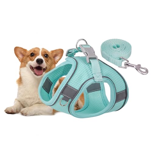 Kexpery Atmungsaktives Hundegeschirr mit passender Leine, verstellbares No-Pull-Welpengeschirr und Leine-Set for kleine, mittelgroße und große Hunde (L-Stil B grün) von Kexpery