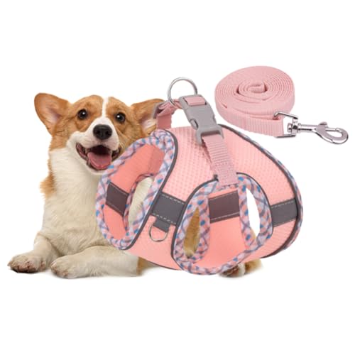 Kexpery Atmungsaktives Hundegeschirr mit passender Leine, verstellbares No-Pull-Welpengeschirr und Leine-Set for kleine, mittelgroße und große Hunde (XXS-Stil A Pink) von Kexpery