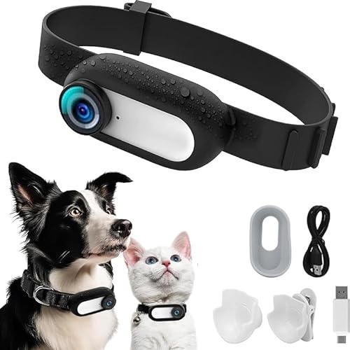 Kexpery HD 1080P Drahtlose Halsband, kein WLAN erforderlich, Haustierbaby, Hund, Katze, Halsband, Haustier-Sport mit Videoaufzeichnungen für Katzen, Hunde, Geburtstagsgeschenk (weiß) von Kexpery