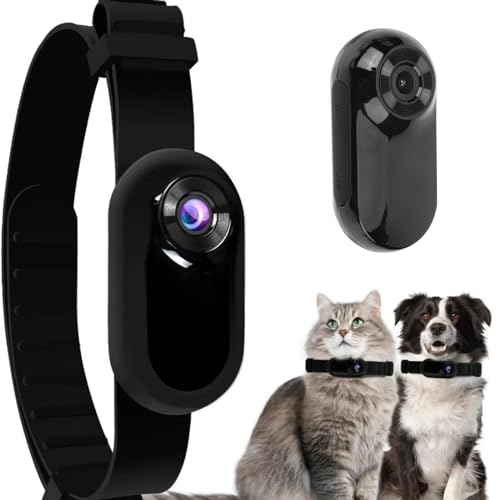 Kexpery HD 1080P Kabellose Halsband, kein WLAN erforderlich, Haustier, Baby, Hund, Katze, Halsband, Überwachungs mit Videoaufzeichnungen für Katzen, Hunde, Geburtstagsgeschenk (schwarz) von Kexpery