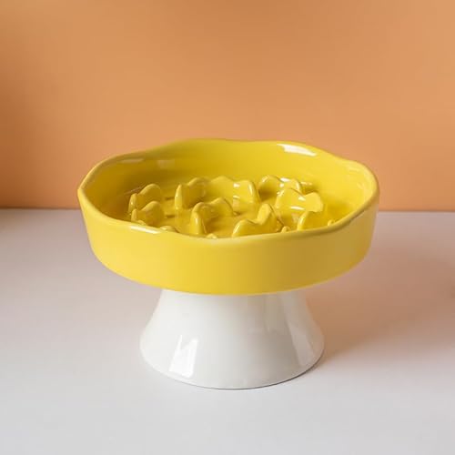 KeyChefLab Slow Feeder Hundenapf, Erhöhte Keramik-Hundenäpfe für kleine & mittelgroße Hunde und Katzen - Slow Feeder Bowl, Welpen Essentials, Haustierbedarf, langlebig & leicht zu reinigen (Gelb) KeyChefLab Slow Feeder Hundenapf, Erhöhte Keramik-Hundenäpfe für kleine & mittelgroße Hunde und Katzen - Slow Feeder Bowl, Welpen Essentials, Haustierbedarf, langlebig & leicht zu reinigen (Gelb) von KeyChefLAB