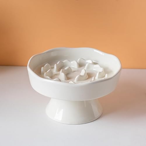 KeyChefLab Slow Feeder Hundenapf, Erhöhte Keramik-Hundenäpfe für kleine und mittelgroße Hunde und Katzen - Slow Feeder Bowl, Welpenutensilien, Haustierbedarf, langlebig & leicht zu reinigen (Weiß) KeyChefLab Slow Feeder Hundenapf, Erhöhte Keramik-Hundenäpfe für kleine und mittelgroße Hunde und Katzen - Slow Feeder Bowl, Welpenutensilien, Haustierbedarf, langlebig & leicht zu reinigen (Weiß) von KeyChefLAB