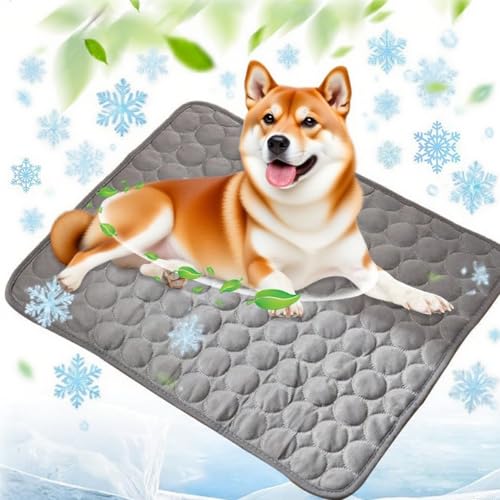 KeyoGoS 2025 New Dog Cooling Matt, 2025 Neues Selfkühlpad für Hunde und Katzen, keine Kühlung oder Freiheit für Hunde im heißen Sommer (B, S 50 x 40 cm) von KeyoGoS