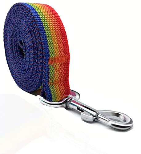 TAIAN Starke Hundeleine, Nylon-Hundeleine für kleine, mittelgroße und große Hunde (1,5 cm x 1,5 m, Regenbogen) von Keyoung