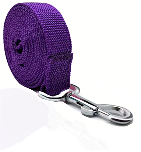 TAIAN Starke Hundeleine, Nylon-Hundeleine für kleine, mittelgroße und große Hunde (1,9 cm x 1,5 m, Violett) von Keyoung