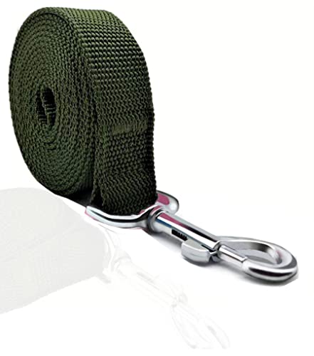 TAIAN Starke Hundeleine, Nylon-Hundeleine für kleine, mittelgroße und große Hunde (grün, 2,5 x 3 m) von Keyoung