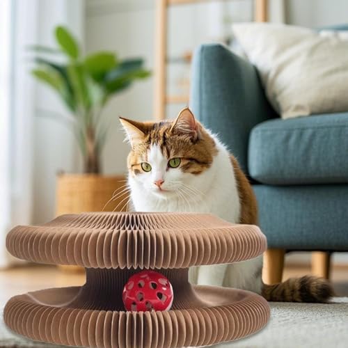 Katzen Kratzbrett, Magische Orgel Kratzpappe Für Katzen, Cat Kratzbrett Mit Glöckchen, Zusammenklappbares Interaktives Katzenspielzeug Für Den Drinnen Und Draußen Katzen Kratzbrett, Magische Orgel Kratzpappe Für Katzen, Cat Kratzbrett Mit Glöckchen, Zusammenklappbares Interaktives Katzenspielzeug Für Den Drinnen Und Draußen von Keyubria